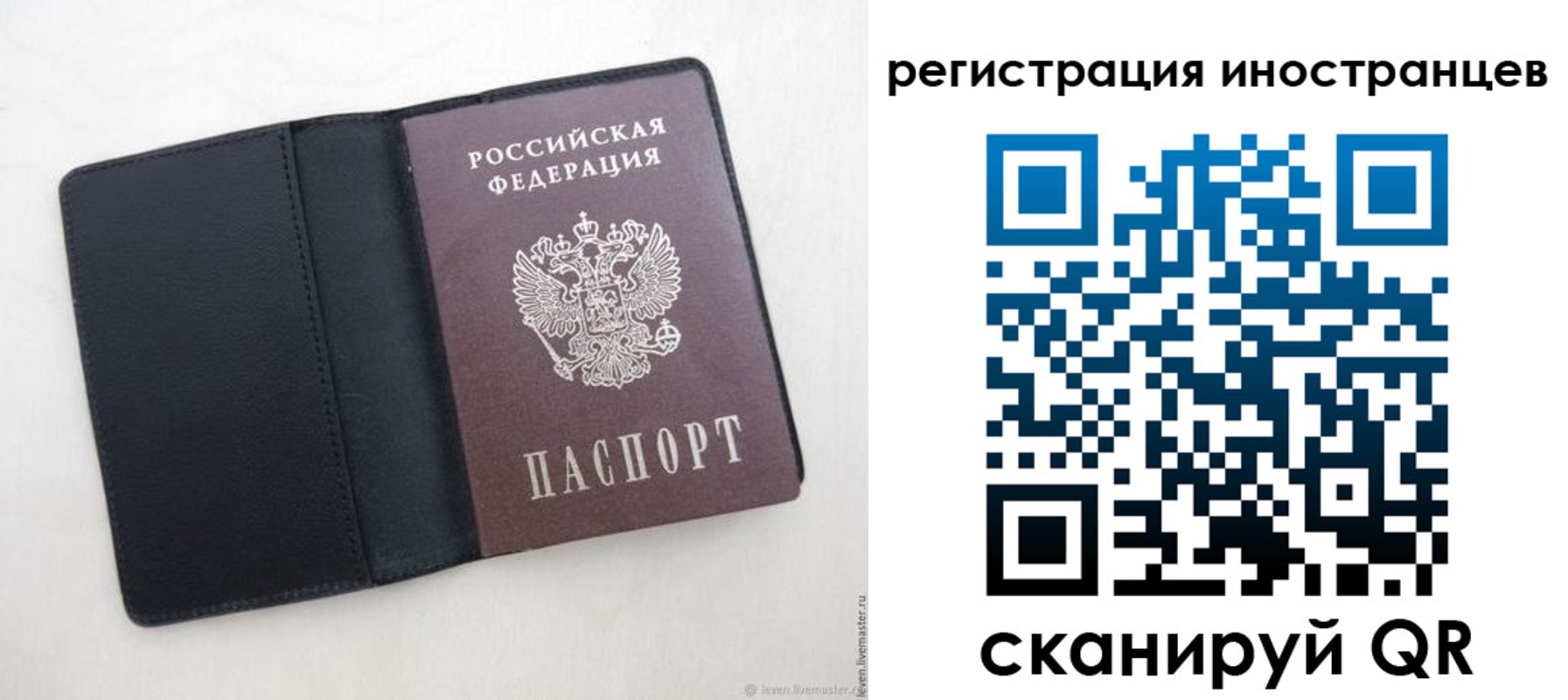 прописка ребенка в Каменск-Шахтинском